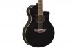 Yamaha APX600 (Black): 2