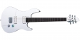 Yamaha RGXA2 (WAG): 1