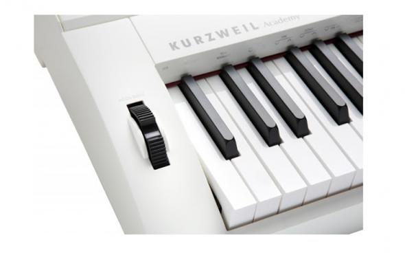 Kurzweil KA 90 WH (+стойка): 4