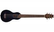 Washburn RO10SBK