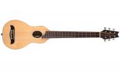 Washburn RO10SK