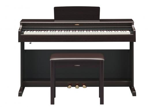 Yamaha Arius YDP-164 Rosewood (+блок питания): 2