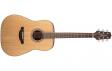 Takamine GD20 NS: 1