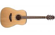 Takamine GD20 NS