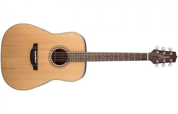 Takamine GD20 NS: 1