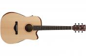 Ibanez AW150CE OPN
