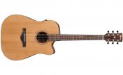 Ibanez AW65ECE