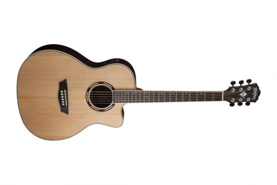 Washburn AG70CE: 1