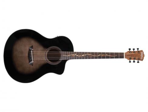 Washburn VITE S9V: 1