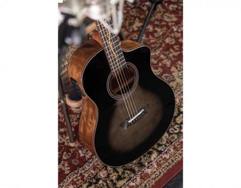 Washburn VITE S9V: 2