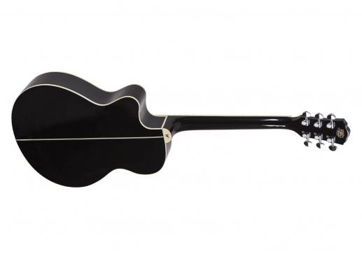 Washburn EA10 B: 2