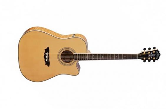 Washburn D34 SCEN: 1