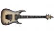ESP E-II HORIZON QM FR (Black Natural Burst): 1
