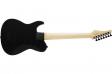 Fujigen JIL72-ASH-DEG Iliad Dark Evolution Series (Open Pore Black): 2