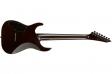 ESP E-II M-II-7 NT (Dark Brown Natural Burst): 2