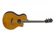 Yamaha APX600FM (Amber): 1