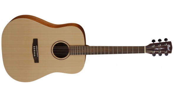 Cort Earth Grand (Open Pore): 1