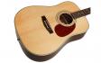 Cort Earth 80 (Natural Satin): 3