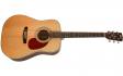 Cort Earth 80 (Natural Satin): 1