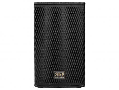 SKV Sound Pro Line-112A: 2