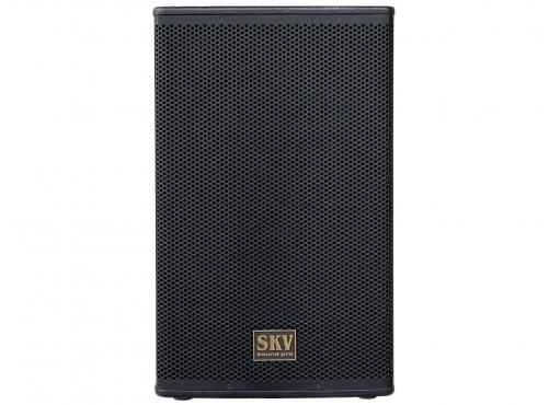 SKV Sound Pro Line-115A: 2