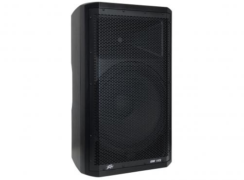Peavey DM115: 1