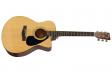 Yamaha FS100C (Natural): 1