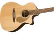 Fender NEWPORTER PLAYER NATURAL WN: 3