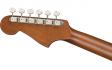 Fender NEWPORTER PLAYER NATURAL WN: 4
