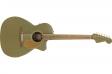 Fender NEWPORTER PLAYER ICE OLIVE SATIN: 1