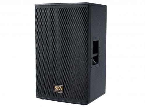 SKV Sound Pro Air-115A: 1