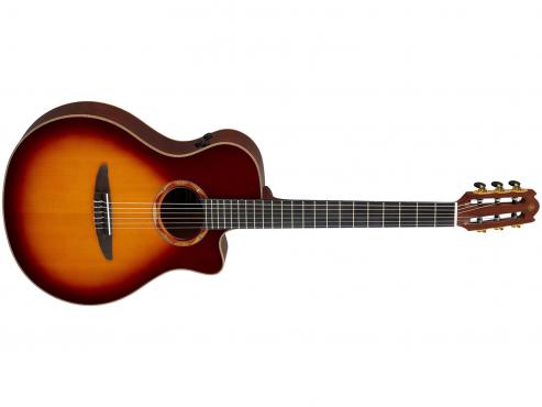 Yamaha NTX3 (Brown Sunburst): 1