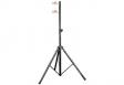 Soundking DB020: 1