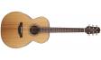 Takamine GN20 NS: 1