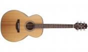 Takamine GN20 NS