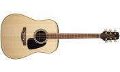 Takamine GD51 NAT