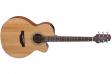 Takamine GN20CE NS: 1