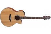 Takamine GN20CE NS