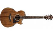 Ibanez AE245 NT