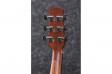 Ibanez AAD100E: 4