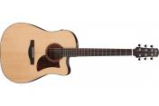 Ibanez AAD170CE LGS