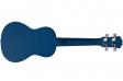 Fiesta Travel Blue: 2