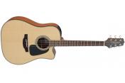 Takamine GD10CE NS