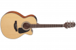 Takamine GN10CE NS: 1