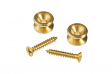 D'addario PWEP302 BRASS END PIN: 1