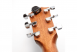 D'addario PW-CT-12 Micro Headstock Tuner: 5