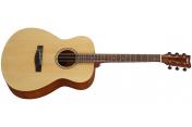 Yamaha FS400 (Natural Satin)