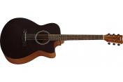 Yamaha FS400C (Smoky Black)