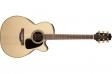 Takamine GN51CE NAT: 1