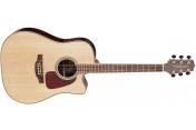 Takamine GD93CE NAT